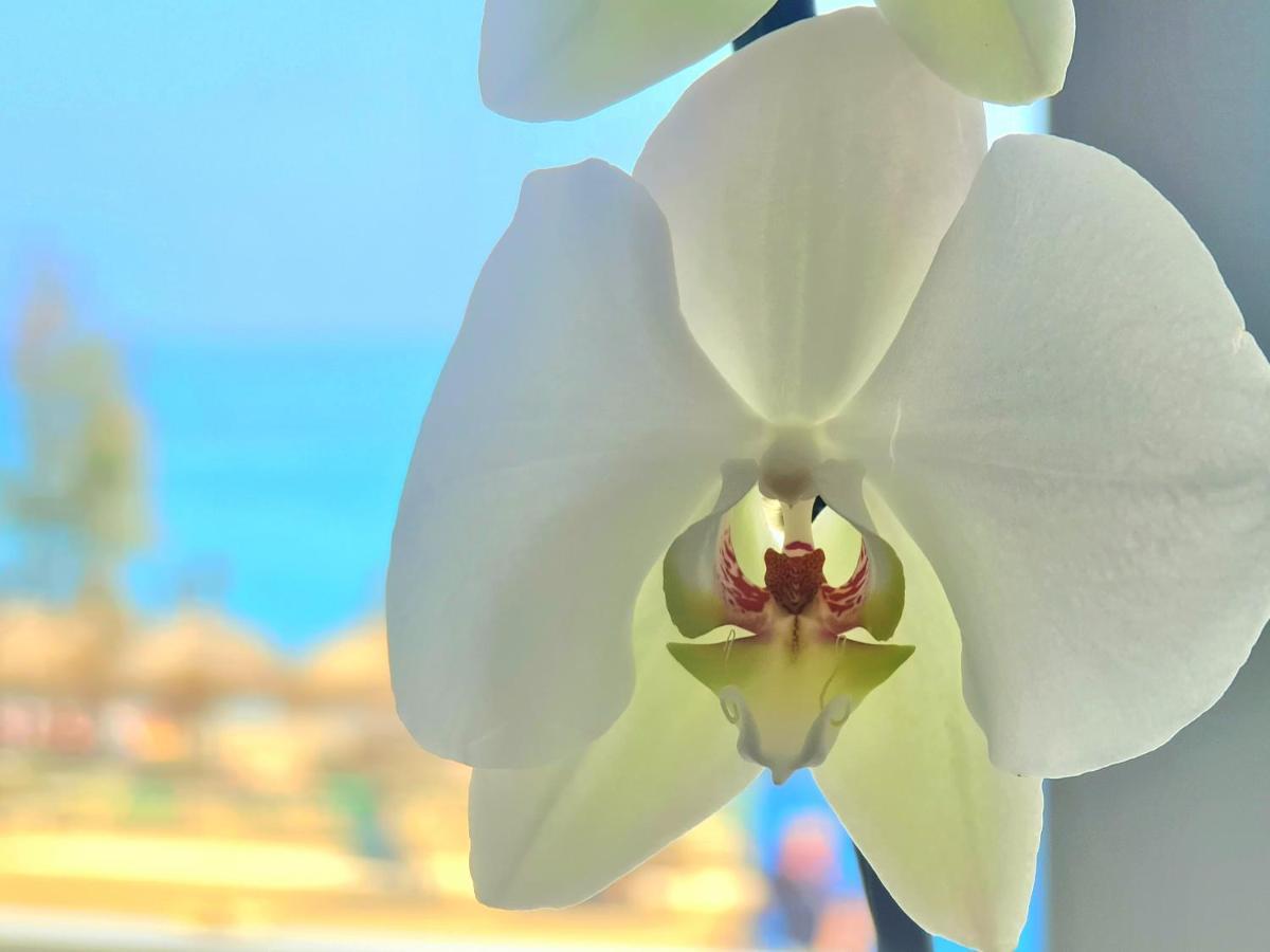 Apartament 1º Linea De Playa En Pleno Centro De Fuengirola Zewnętrze zdjęcie